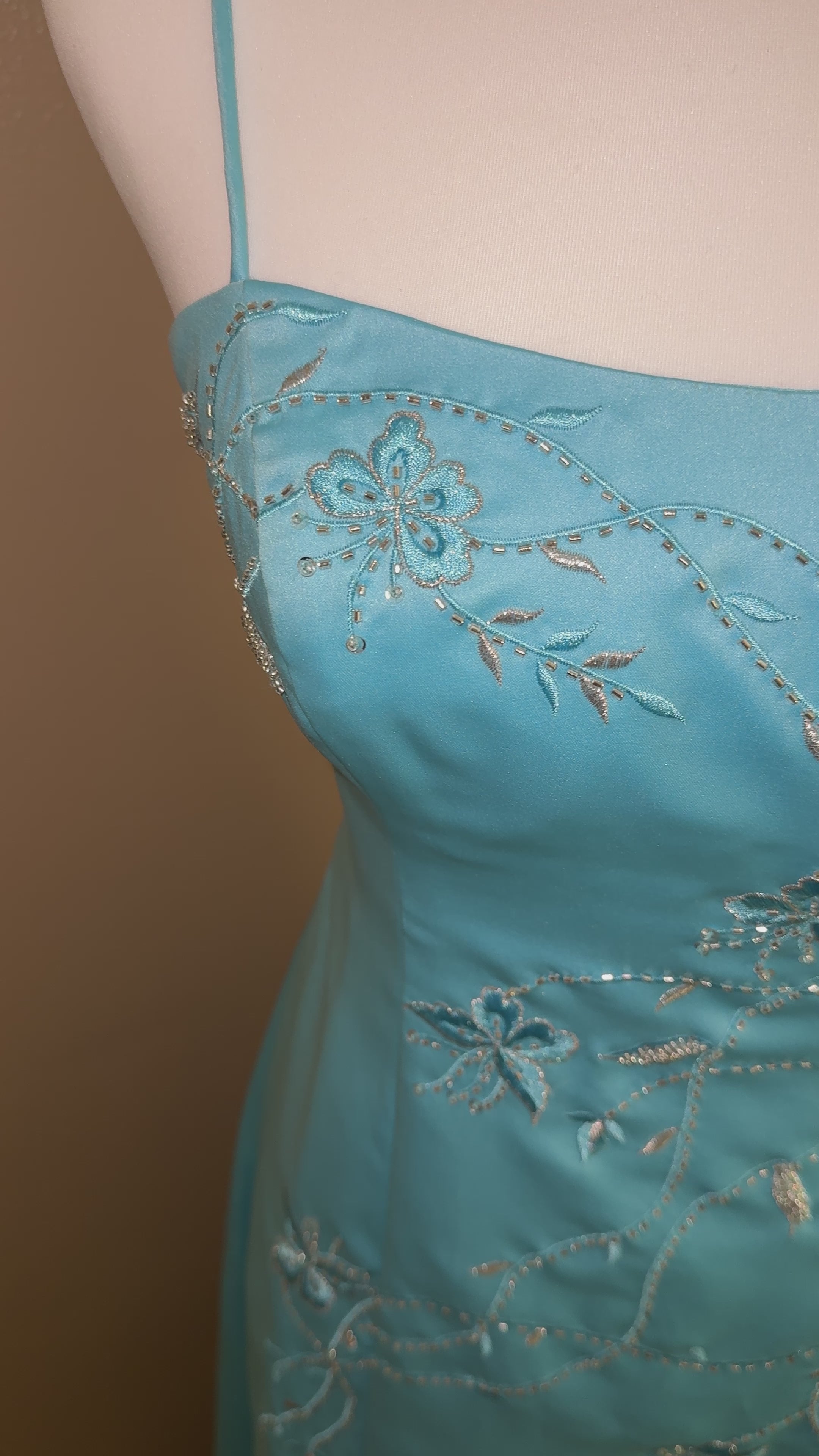 Vine Embroidered Blue Dress